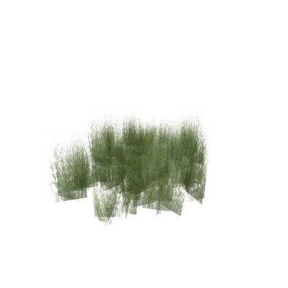 Small Grass 1