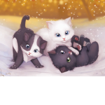 kawail cats