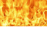 the fire clan!!