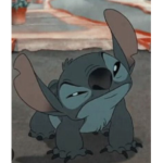 .+Stitches+.
