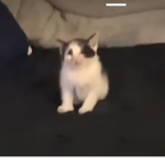 dundunduuunnn