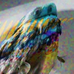 U BLUD Group Thumbnail