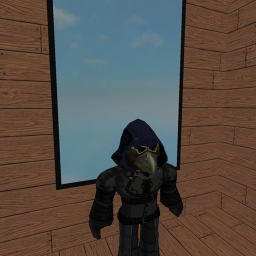 through the mirror icon