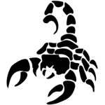 Scorpion Apparel©