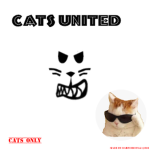 Cats united cats only