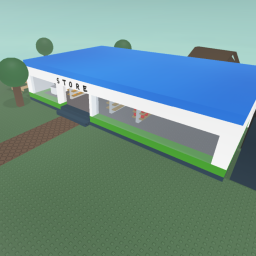 The Convenience Store