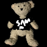 BEAR RP COMPANY
