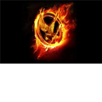 ((** The Hunger Games))**