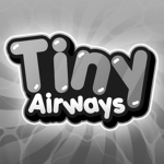 Tiny Airways Security