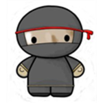 ~The Ninja Organization~