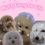 Mulch Gang but the worst