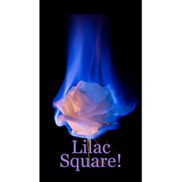 Lilac Square!