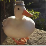 Duck group <3