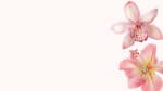 Mochi's Moderation