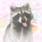 Cutecore Raccoon Group