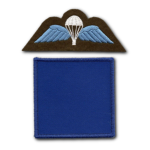 2nd Battalion, The Pαrachute Regiment
