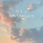 Ｓｋｙ Ａｅｓｔｈｅｔｉｃ$