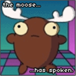 The Moose Of Roblox