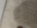 Lilc ivan