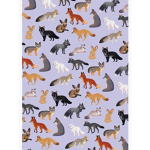 World of Foxes