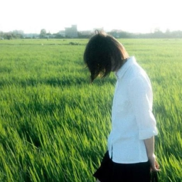⊱☘︎⊰