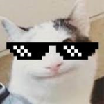 DiscordR0cks