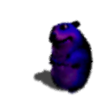 Dark Matter Chomik
