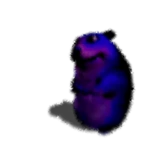 Dark Matter Chomik