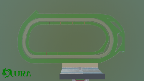 UMAMUSUME | Tokyo Racecourse [Mobile Support]