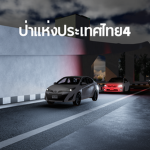 ป่าแห่งประเทศไทย Group