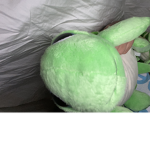 Turtle cute girl group