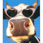 Bored cows