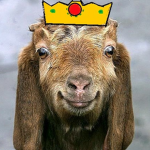 goats are the best : )