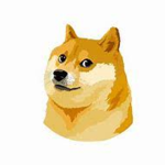 i love doges so much