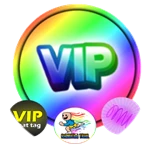 VIP GAMEPASS