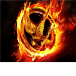 The Hunger Game Tributes