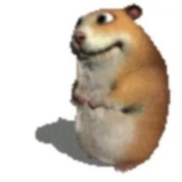 average life as a hamster (UPDATE)
