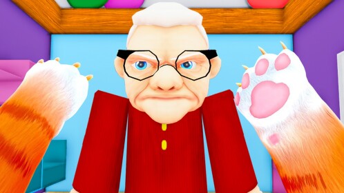 Cat vs Grandma