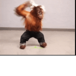 Funkey Monkey25