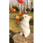 Hi! Are you having a nice day:)