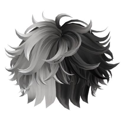 Fluffy Messy Hair(Black&White)