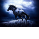 TRDarkLightTR's Group