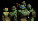 The Official TMNT Group