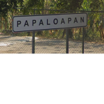 papaloapan fanclub