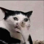 -*-if you love cats Group-*-