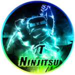 1T Ninjitsu