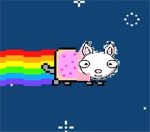 Llama time