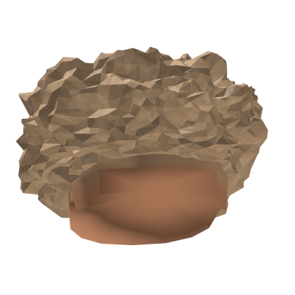 Zion Fro V2
