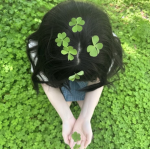 clover field’
