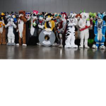furry are the best
